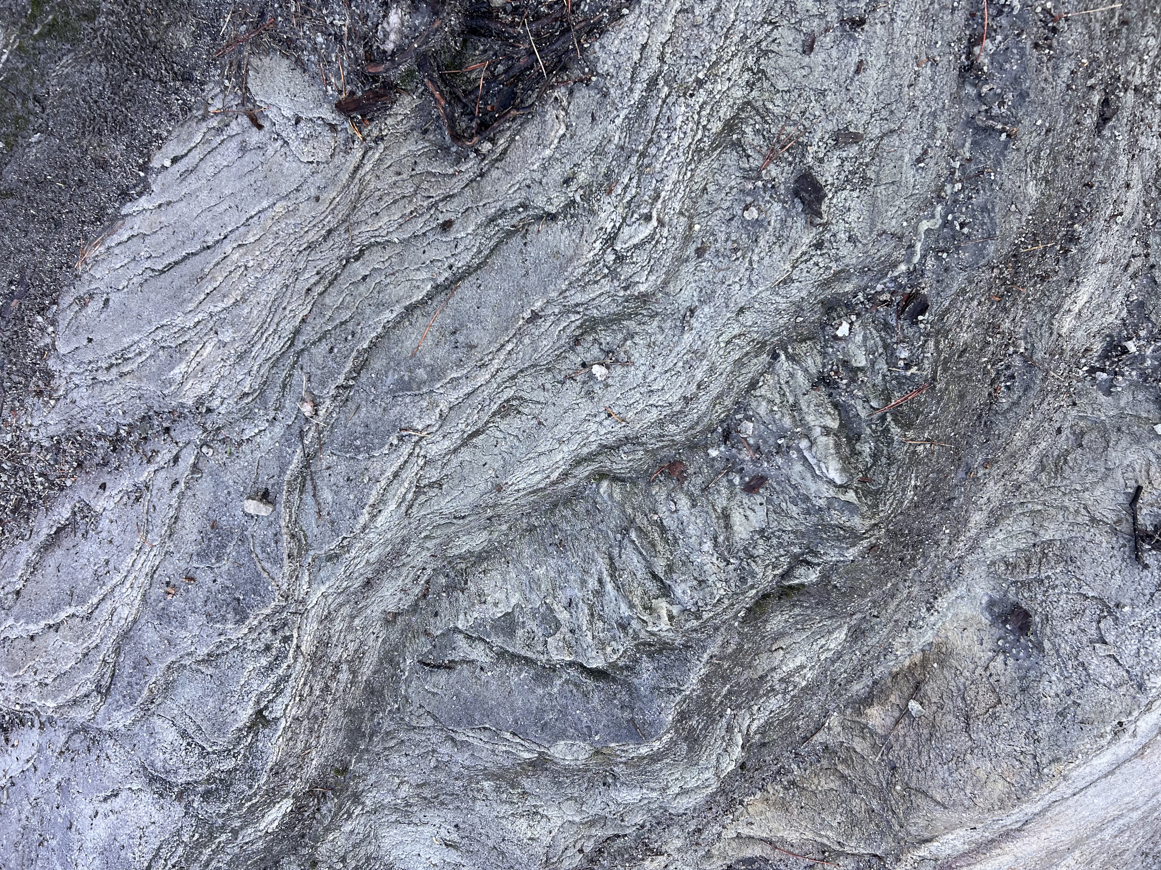 ./2023/05 - Toni Adventures/IMG_2929.JPG